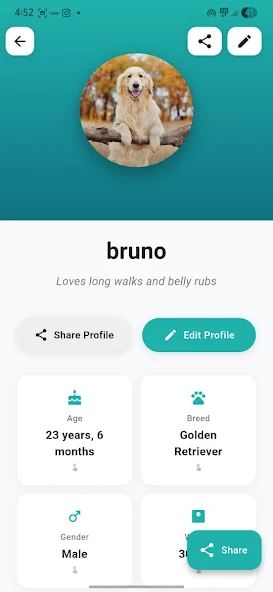 Petzify app - services and booking screen